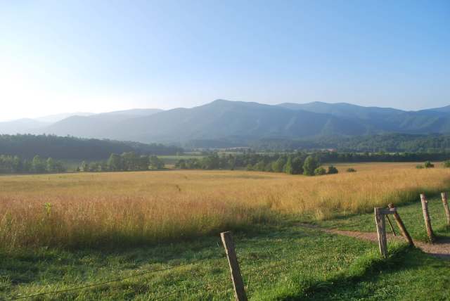 A golden meadow stretches towards distant blue mountains under a clear sky.