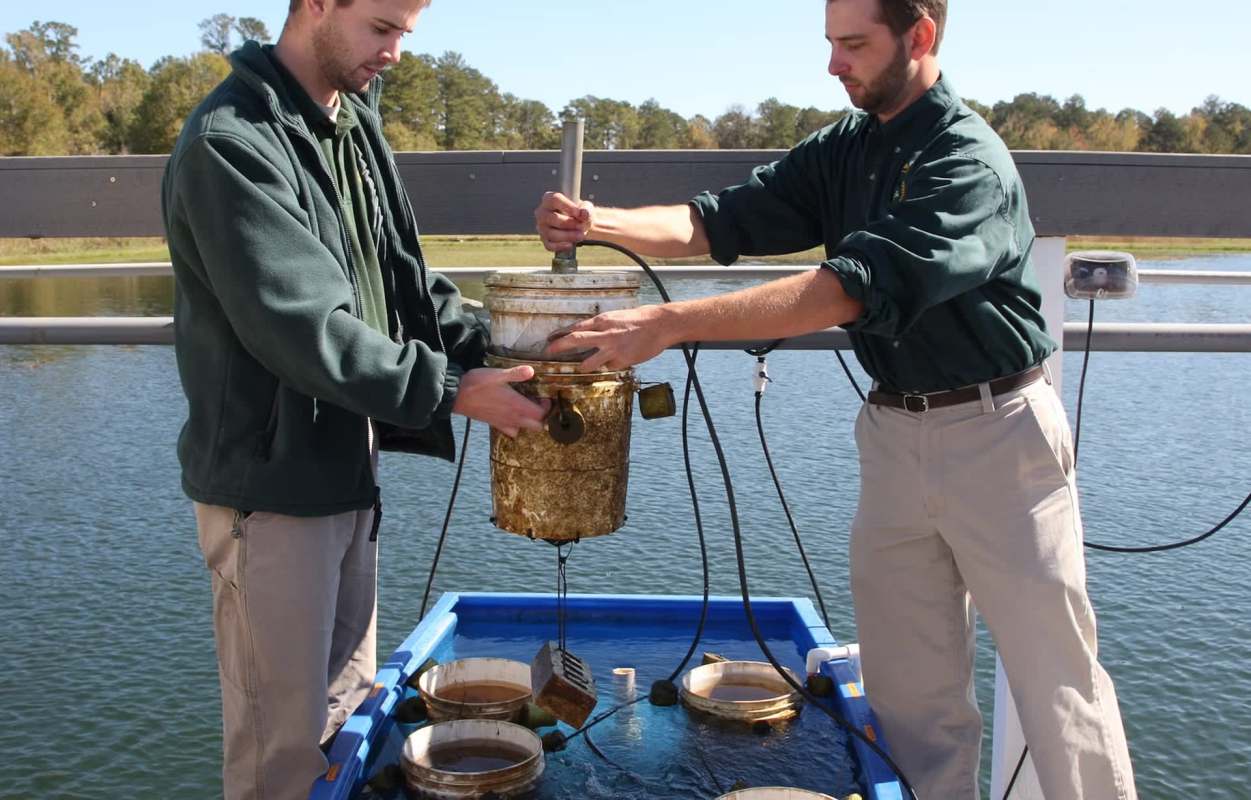 Two workers monitoring aquatic species.