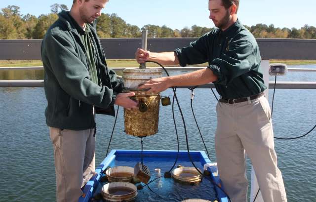 Two workers monitoring aquatic species.