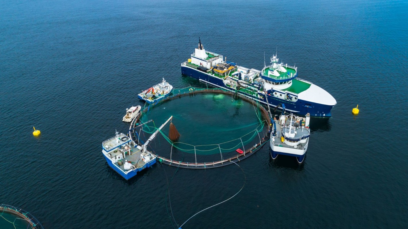 An offshore fish farm.