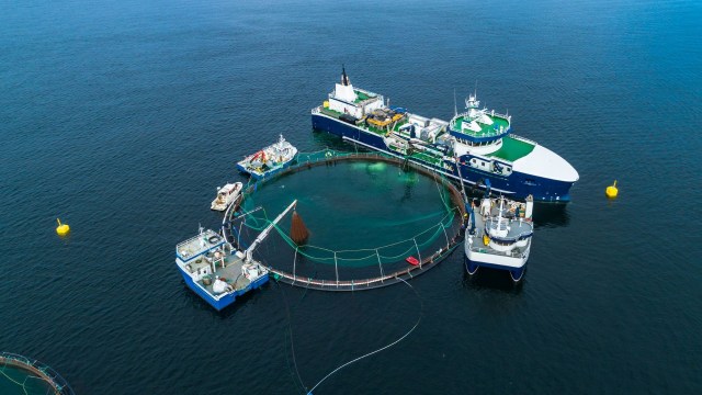 An offshore fish farm.