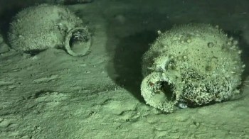 Two round objects from the shipwreck sit on the ocean floor.