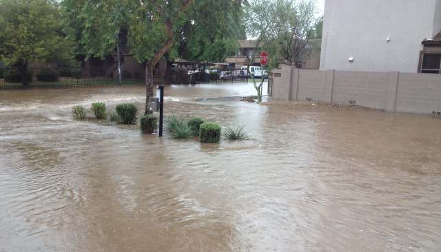 Flooded street with water covering the ground, obscuring mailboxes and plants, amid residential buildings.