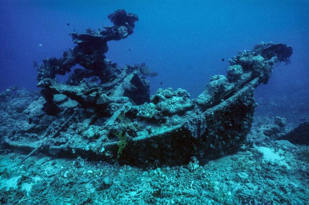 An underwater view of a sunken shipwreck surrounded by coral and marine life.