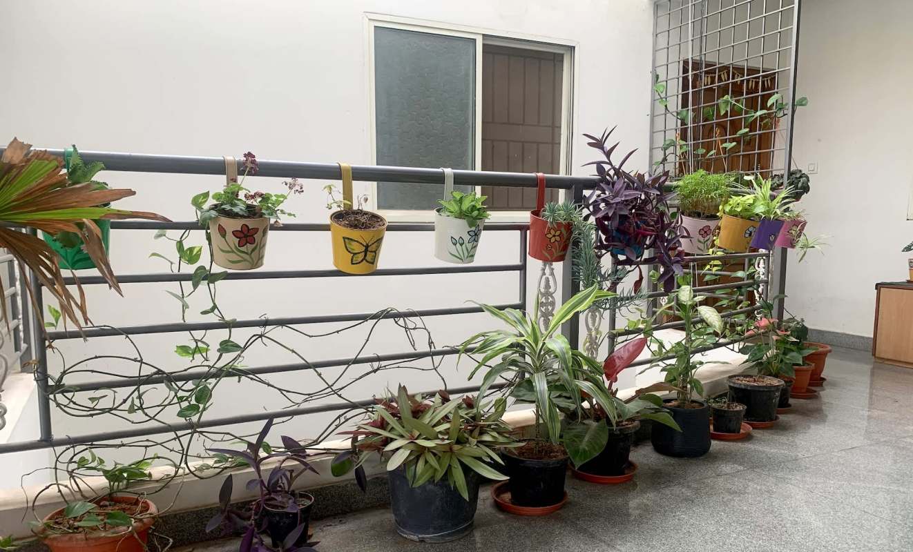 A balcony filled with potted plants and hanging planters on a railing.