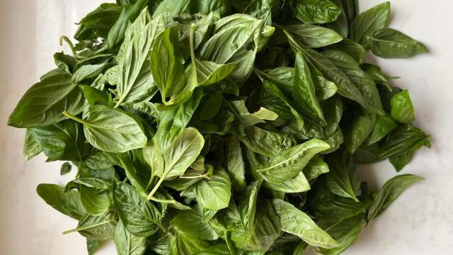 A pile of fresh green basil leaves.