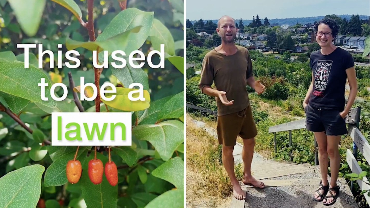 Two people stand on a path in a food forest.