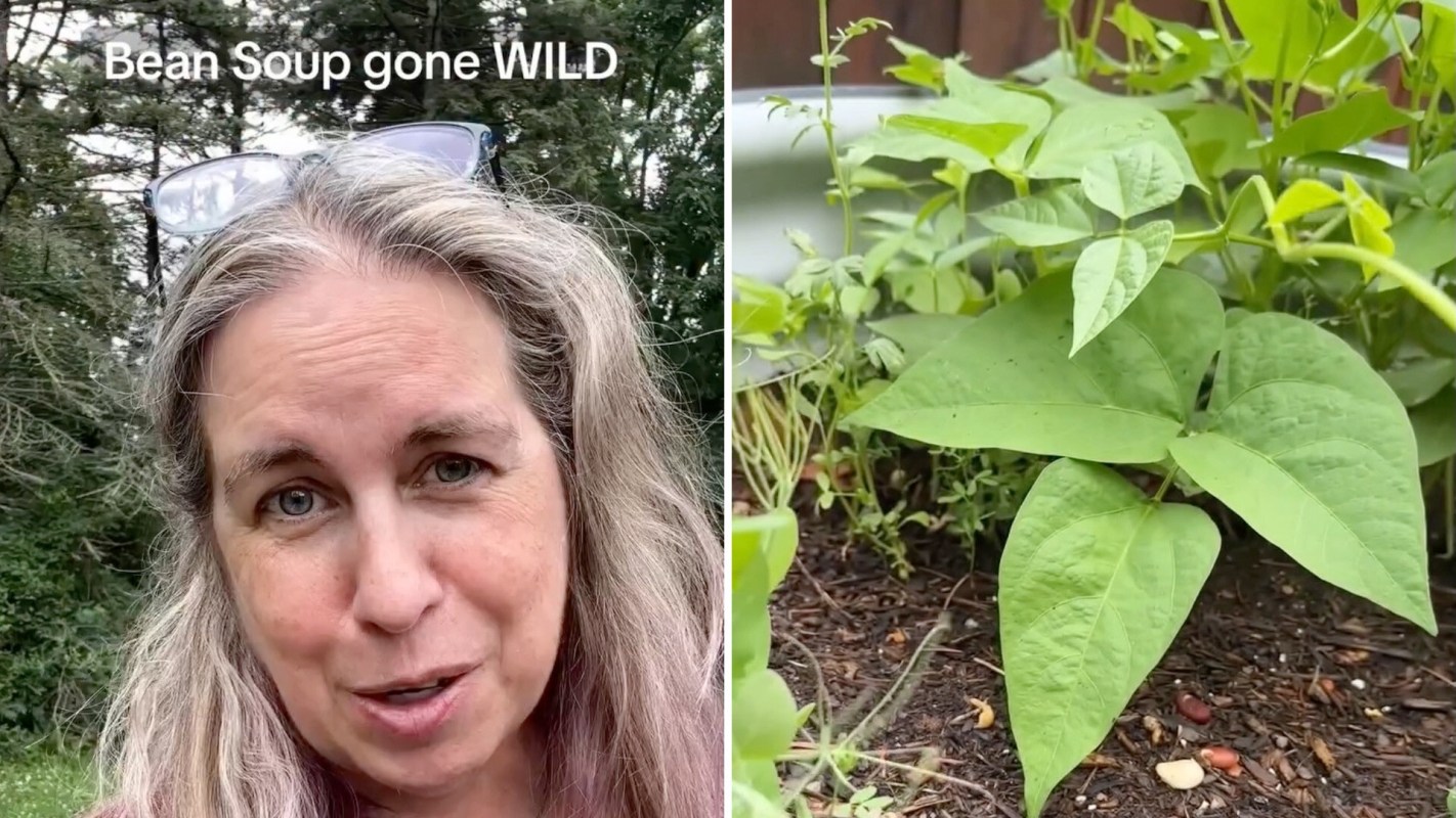 A woman with long, wavy hair speaks in a garden filled with vibrant green bean plants.