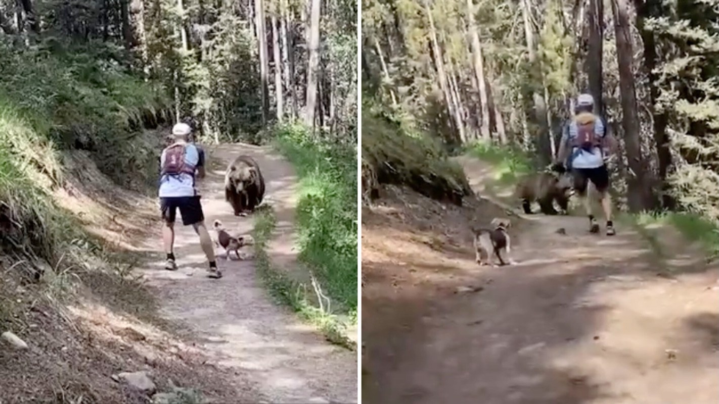 A person and a dog back away from a bear on a hiking trail.