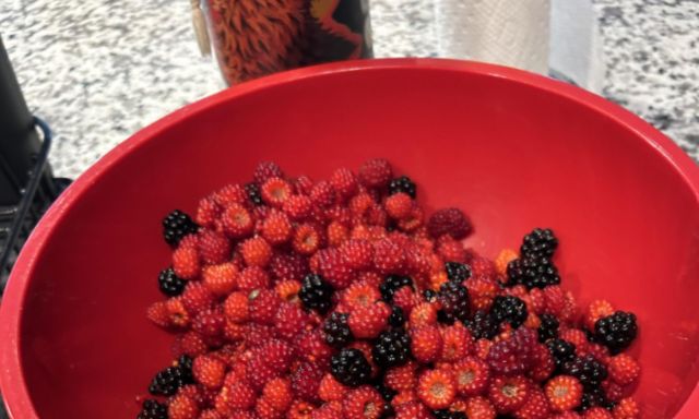 A bowl of berries.