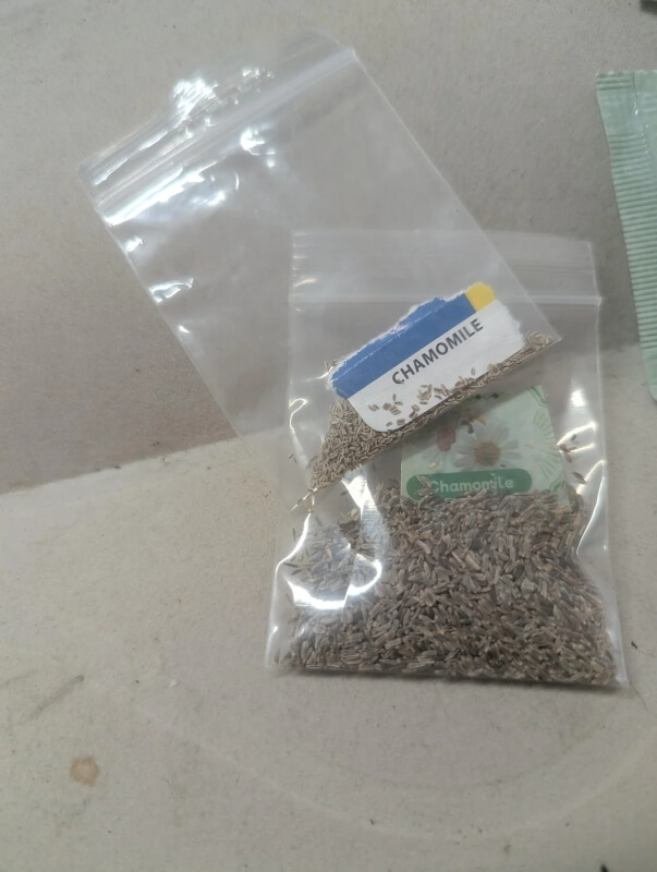 Clear plastic bags of seeds.