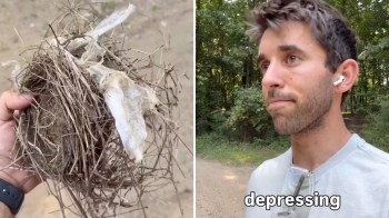 A person holds a nest made of twigs and plastic while standing on a path in a wooded area.