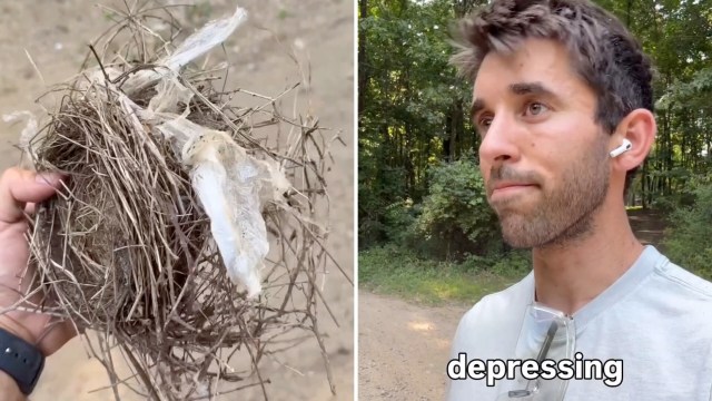 A person holds a nest made of twigs and plastic while standing on a path in a wooded area.