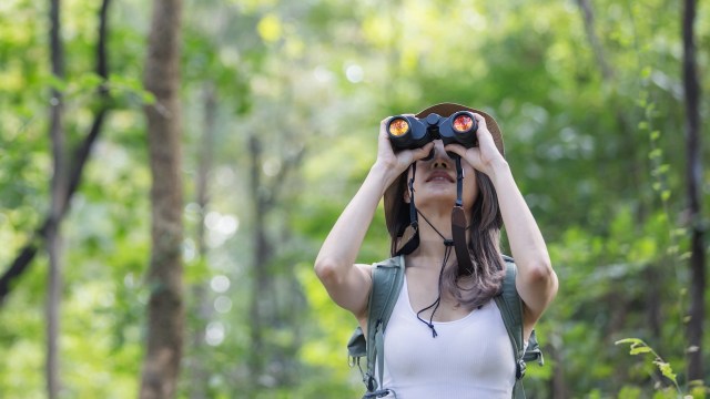 A woman in a hat uses binoculars to observe nature in a lush green forest.