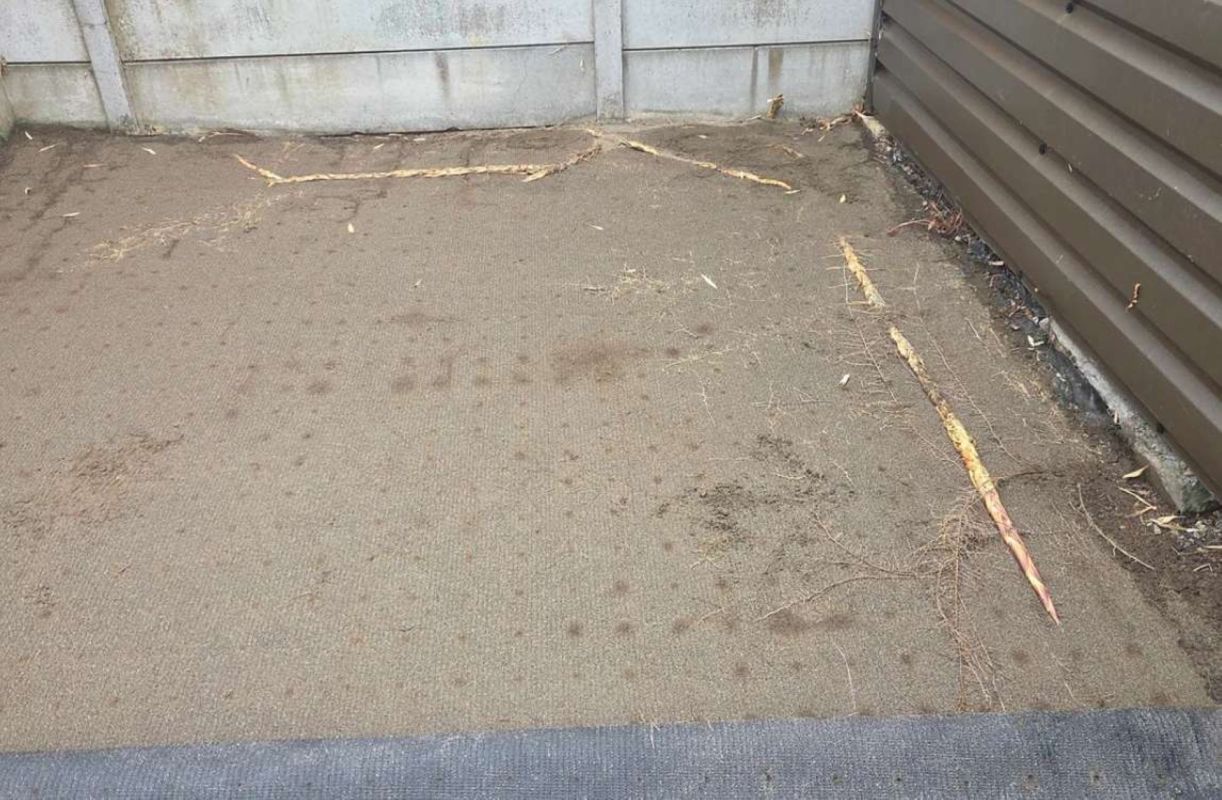A narrow area with bare soil and small debris against a gray wall and brown siding.