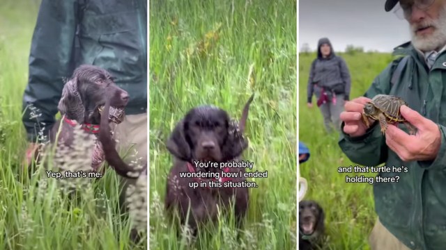 A dog holds a turtle in its mouth while a man discusses it with onlookers in a grassy field.