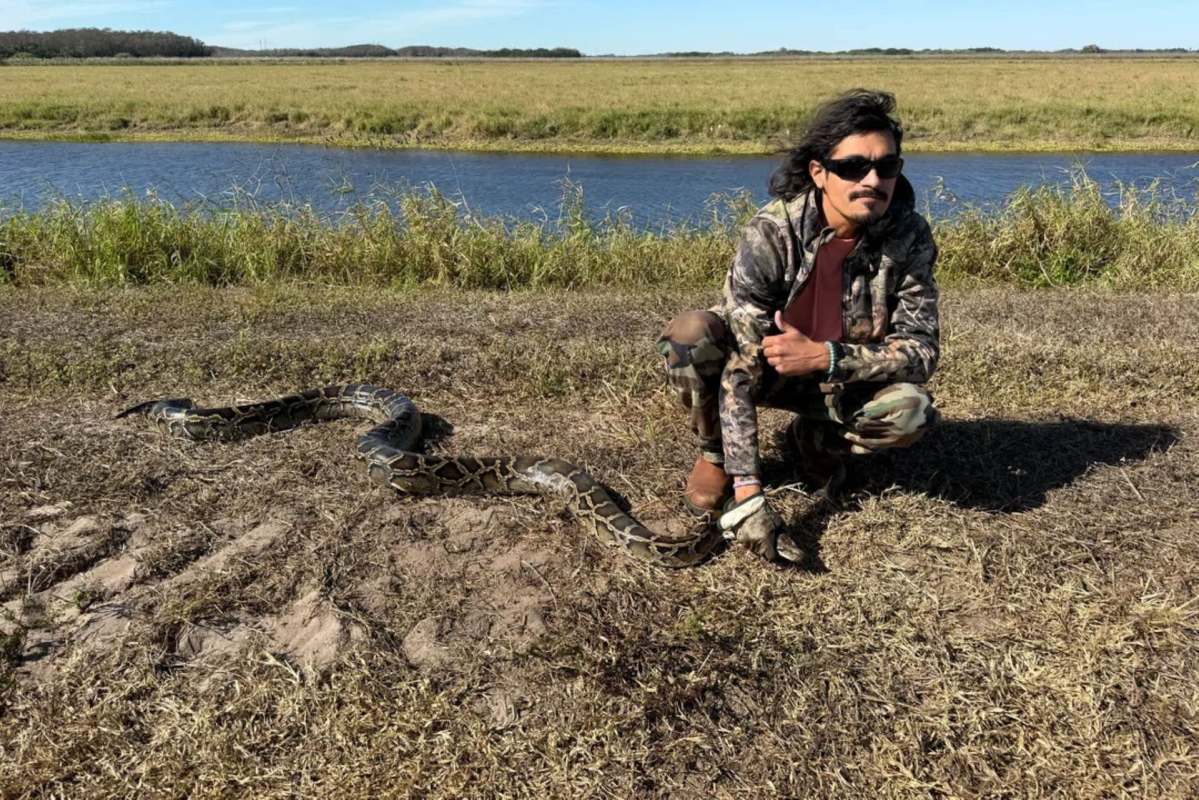 A person kneeling beside a large python.