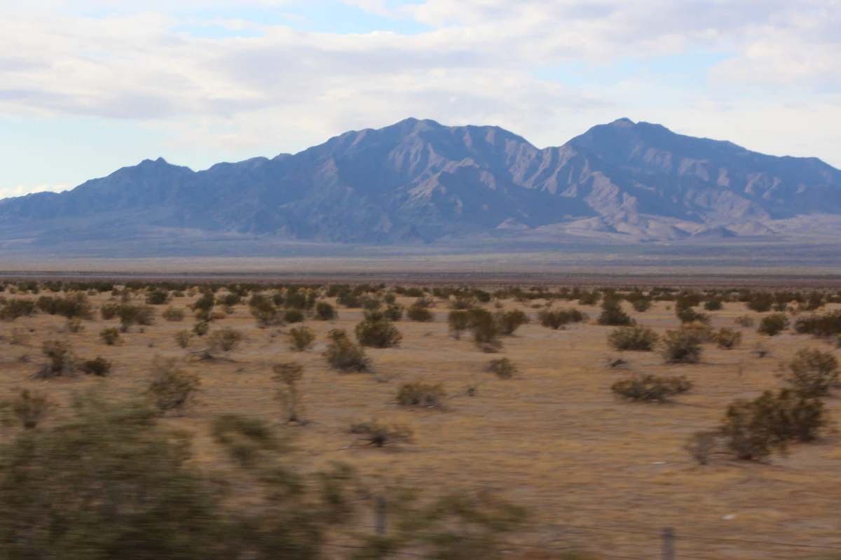 Mountain range in the background, with desert shrubs and brown landscape in the foreground.