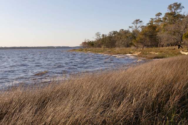 The coast of the Cape Fear River.