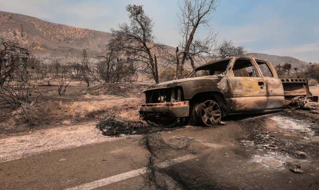 A burnt-out pickup truck on a road surrounded by charred trees.