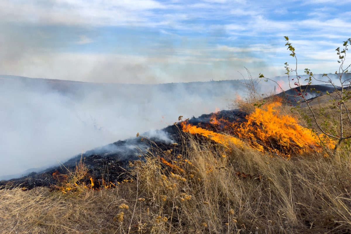 Flames consume dry grassland, surrounded by smoke and a cloudy sky in a wildfire scene.