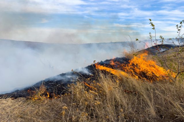 Flames consume dry grassland, surrounded by smoke and a cloudy sky in a wildfire scene.