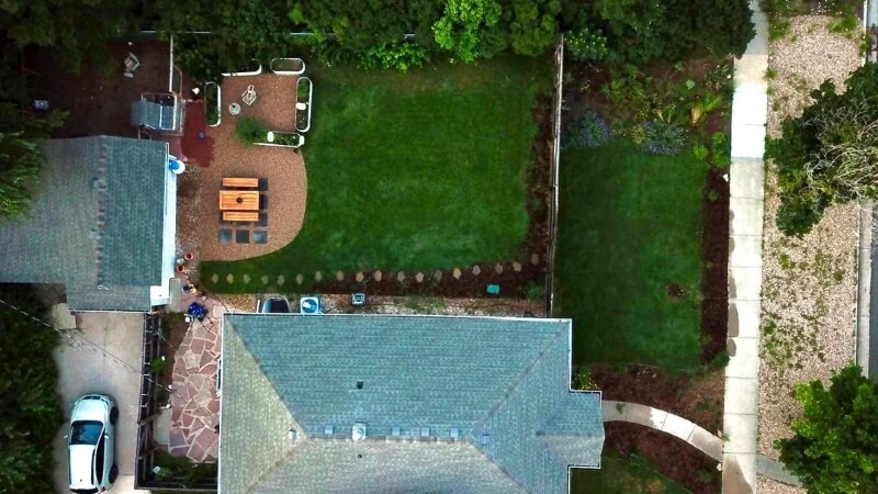 A backyard filled with clovers.