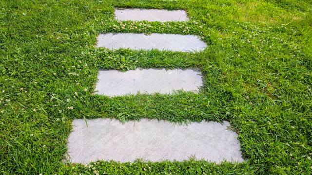 Three rectangular stone slabs are framed by lush green grass and small white flowers.
