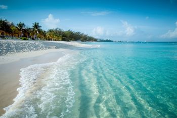 A tropical coastline.