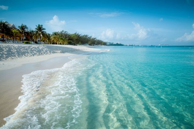A tropical coastline.