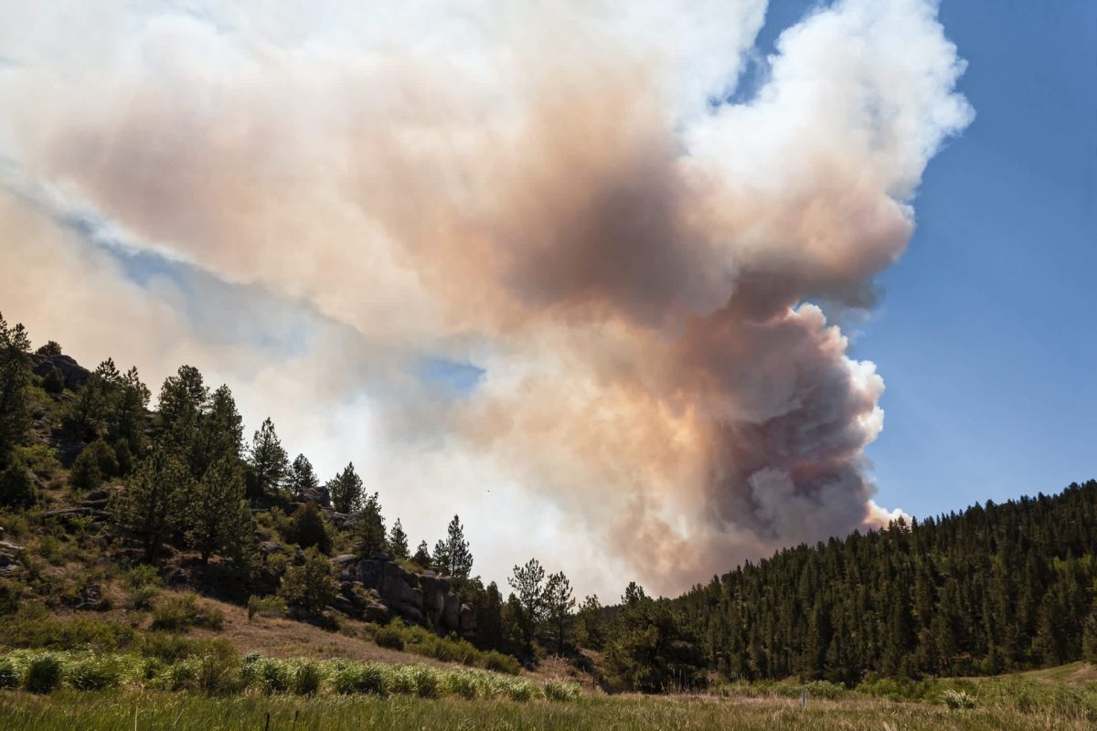 A large plume of smoke billowing from a forested area against a clear blue sky.