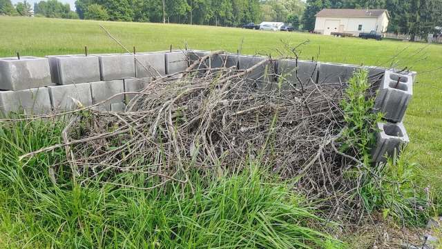 A pile of sticks.