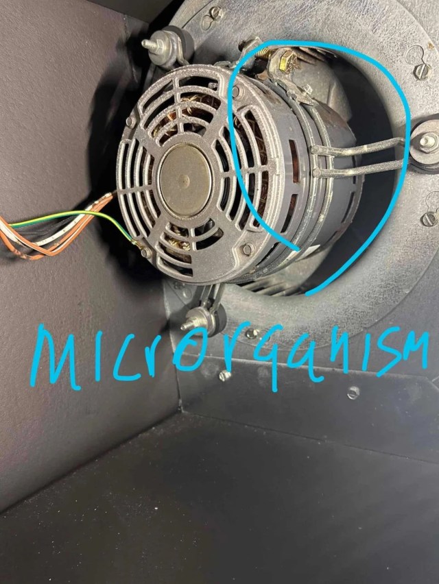 An annotated image of an air conditioning unit showing where microorganisms were supposedly found.