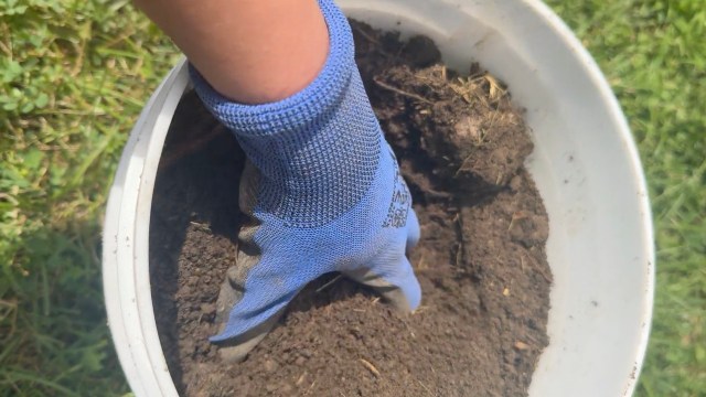 A gloved hand digs into a bucket filled with soil.