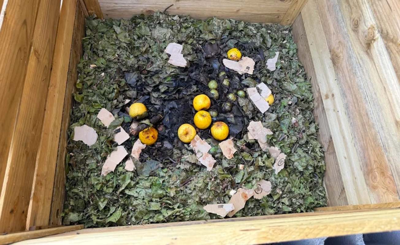 A compost bin filled with decomposing food scraps, leaves, and bits of cardboard.
