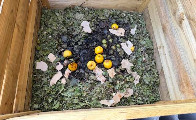 A compost bin filled with decomposing food scraps, leaves, and bits of cardboard.