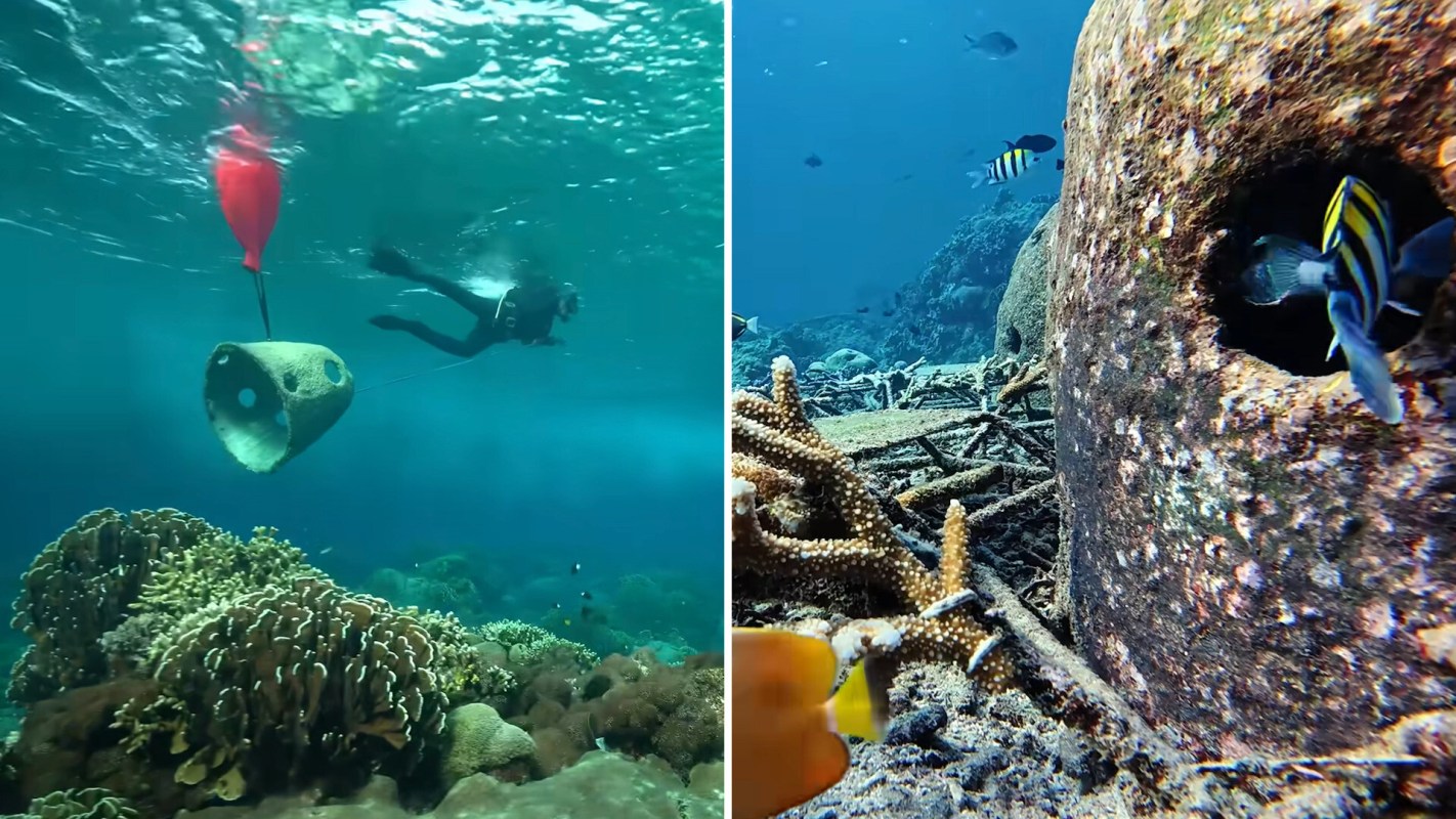 A diver explores vibrant coral reefs with a structure being lifted by a buoy and tropical fish nearby.