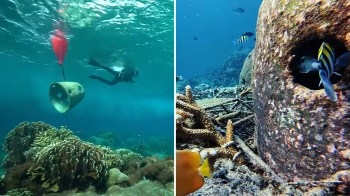 A diver explores vibrant coral reefs with a structure being lifted by a buoy and tropical fish nearby.