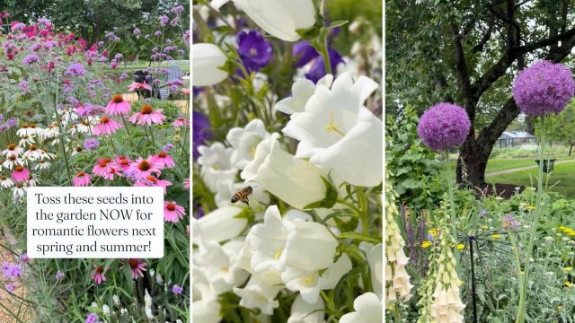 A vibrant garden with colorful flowers, including pink daisies, white bells, and purple blooms, accompanied by a bee.