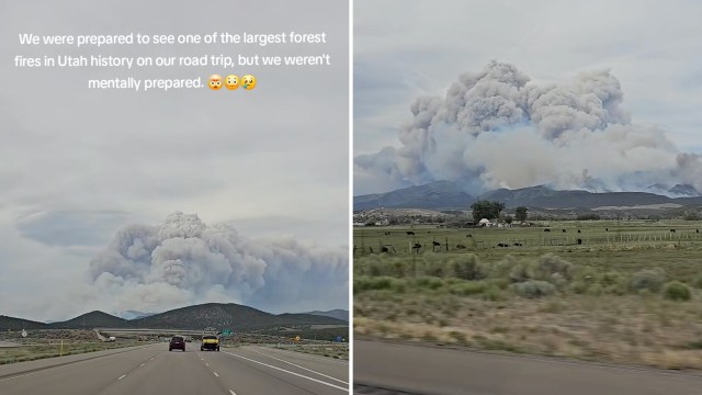 A large plume of smoke rises from a forest fire near the road, with fields and grazing cattle in the foreground.