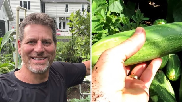 Gardener Gary Pilarchik showcasing a cucumber.