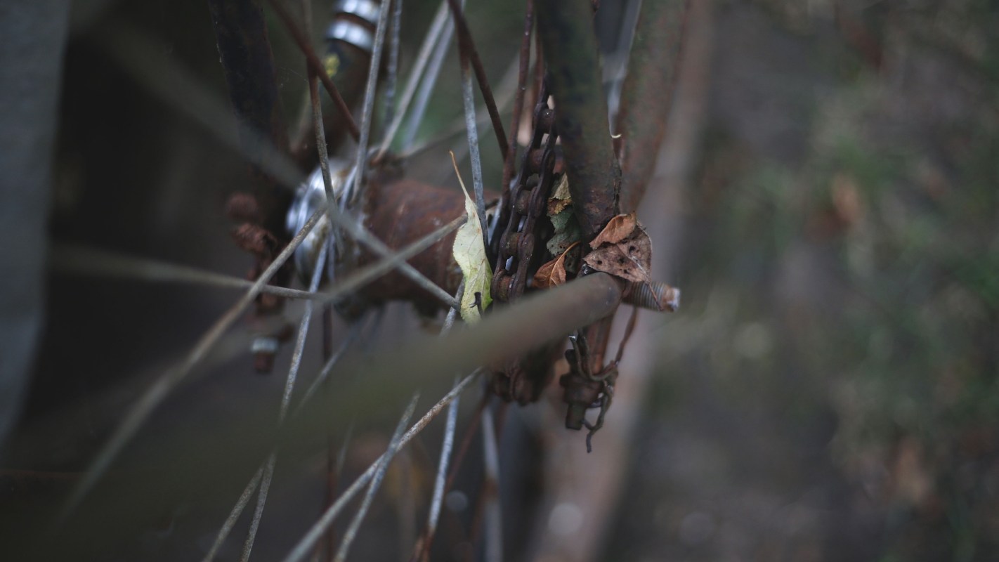 A bicycle chain tangled with leaves and twigs.