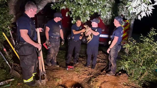 Five firefighters gather at night, holding a rescued puppy above a hole in the ground, with tools scattered around.