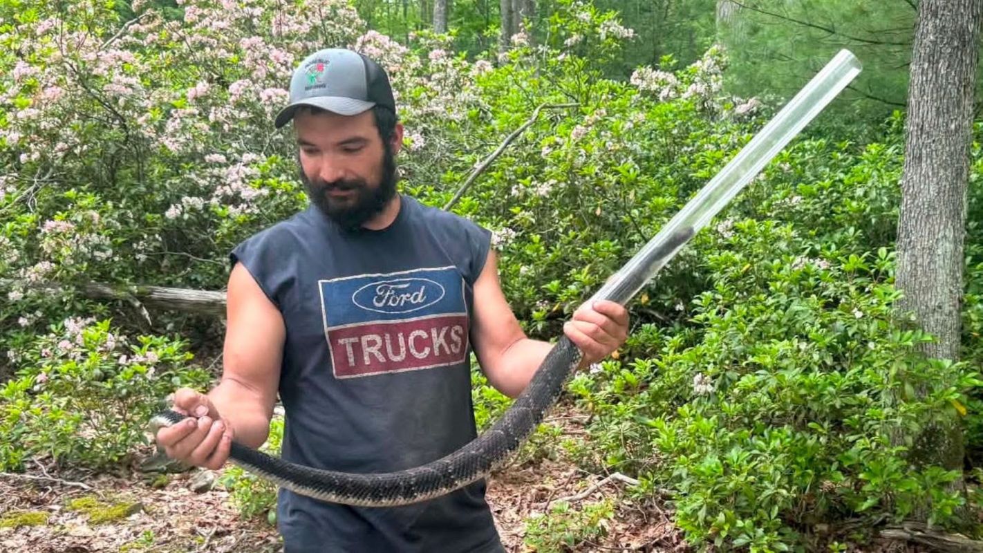 A man holding a long black snake.