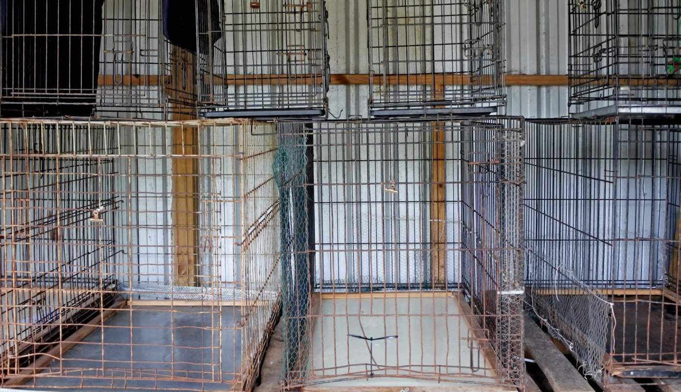 Multiple empty, rusty metal cages positioned against a wall in a storage area.