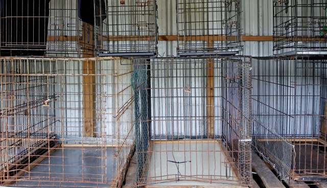 Multiple empty, rusty metal cages positioned against a wall in a storage area.
