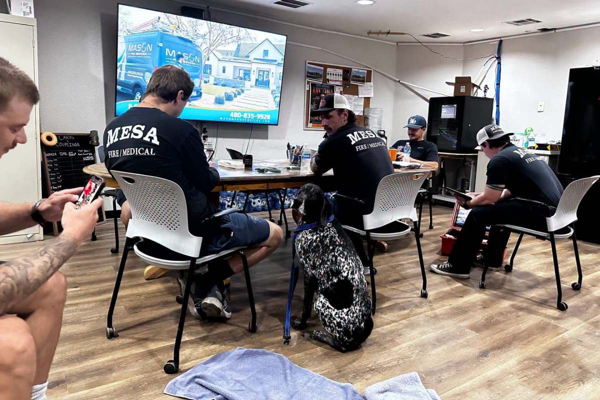 A dog sitting with members of the Mesa Fire and Medical Department.