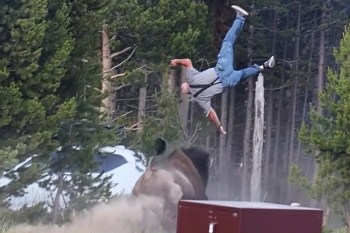 A man is airborne after being charged by a bison near a red storage box in a forested area.