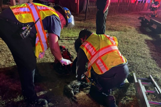 Firefighters rescue pets from an RV fire.