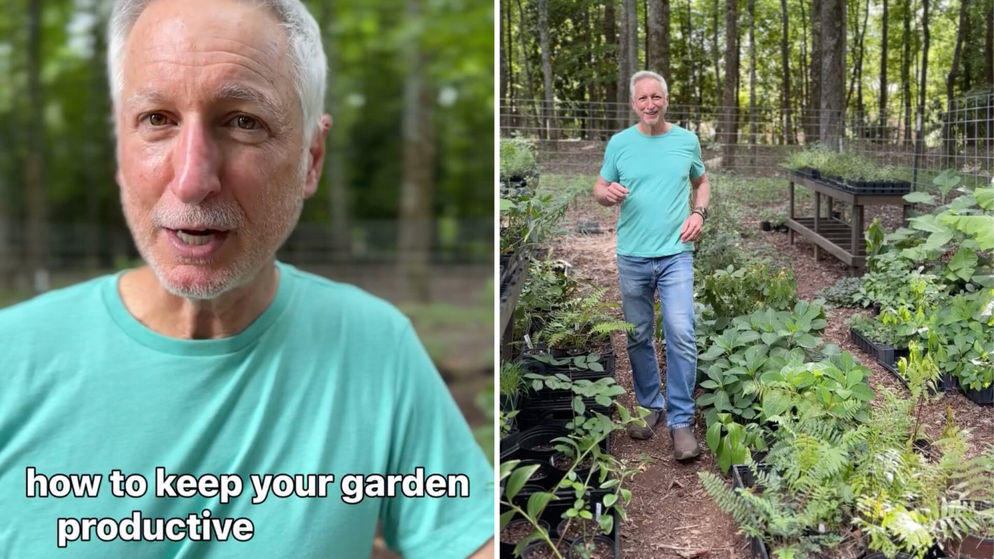 A man in a garden.